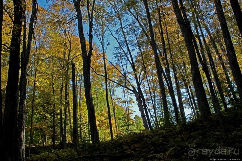В гостях у Радуги. Рокфеллеровские места Вермонта
