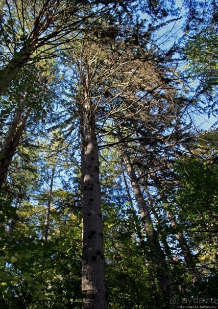 В гостях у Радуги. Рокфеллеровские места Вермонта