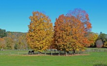 В гостях у Радуги. Рокфеллеровские места Вермонта