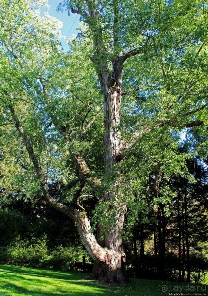 В гостях у Радуги. Рокфеллеровские места Вермонта