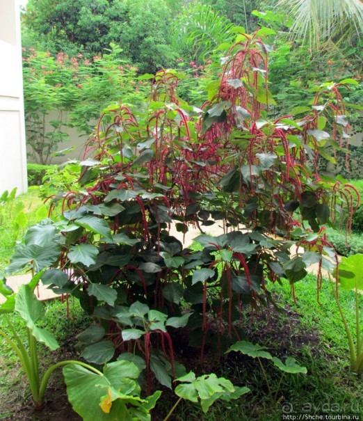 Ваше место под солнцем в Мадагаскаре