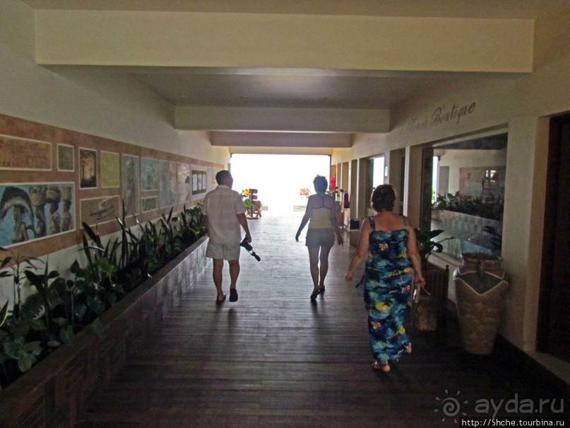 Ваше место под солнцем в Мадагаскаре