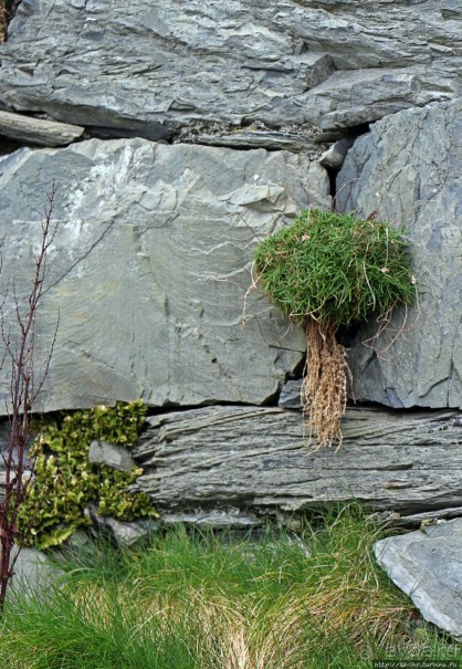 Замок викингов на острове святого Патрика (Остров Мэн - Британская корона)