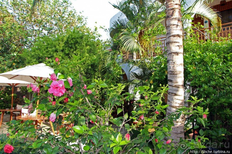 Наш приют на Галапагосах и ноу-хау местных отелей