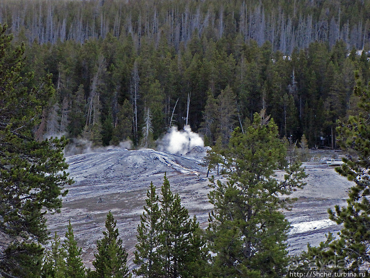 Просто во время выглянул в окно... «Работа» гейзера Lion