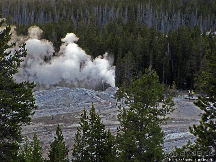 Просто во время выглянул в окно... «Работа» гейзера Lion