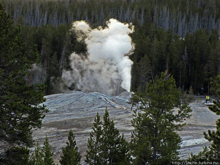 Просто во время выглянул в окно... «Работа» гейзера Lion