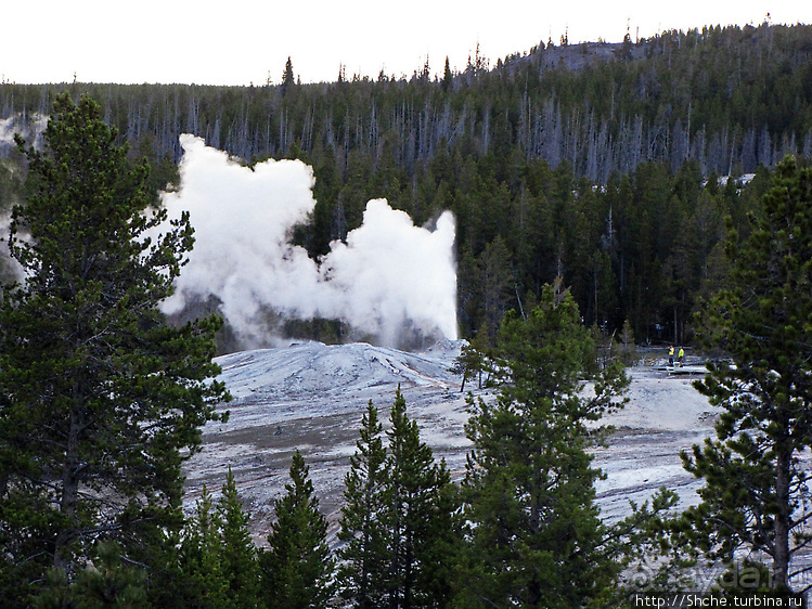 Просто во время выглянул в окно... «Работа» гейзера Lion