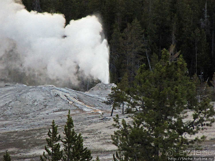 Просто во время выглянул в окно... «Работа» гейзера Lion