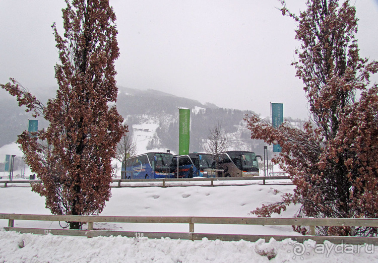 Кристальные миры Сваровски. Особенности зимнего посещения