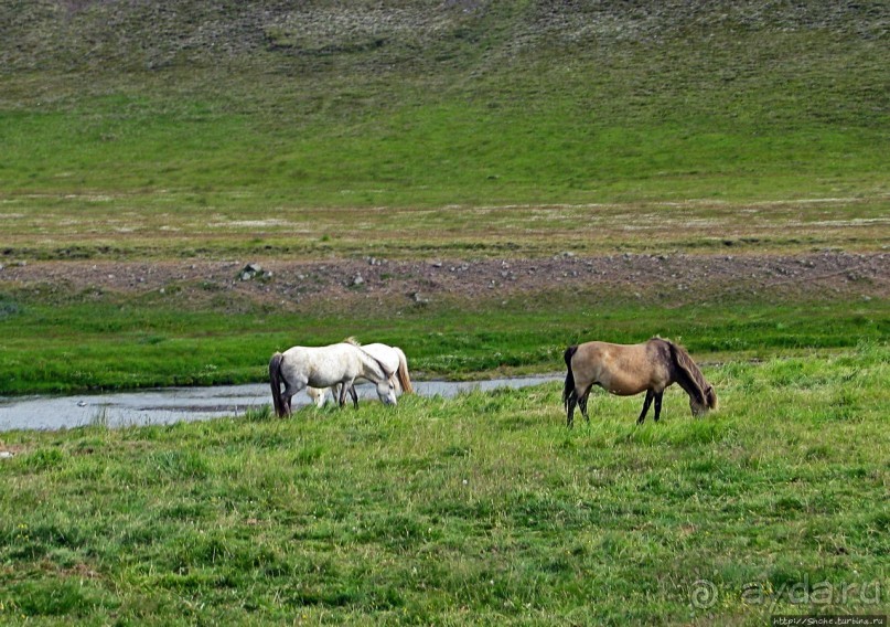 По долинам и по взгорьям... Картинки северо-запада Исландии