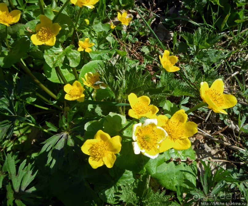 Калуш на пасху и после...