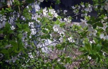 Калуш на пасху и после...