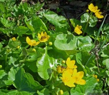 Калуш на пасху и после...