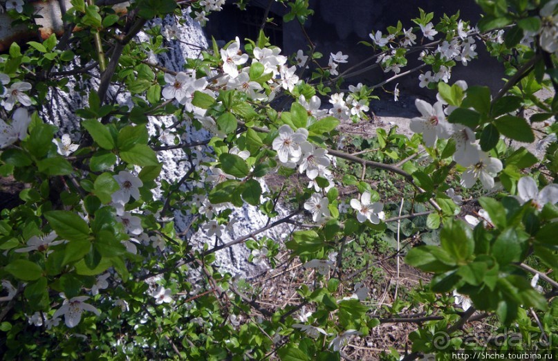Калуш на пасху и после...