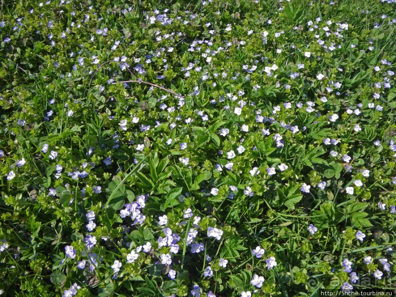 Калуш на пасху и после...