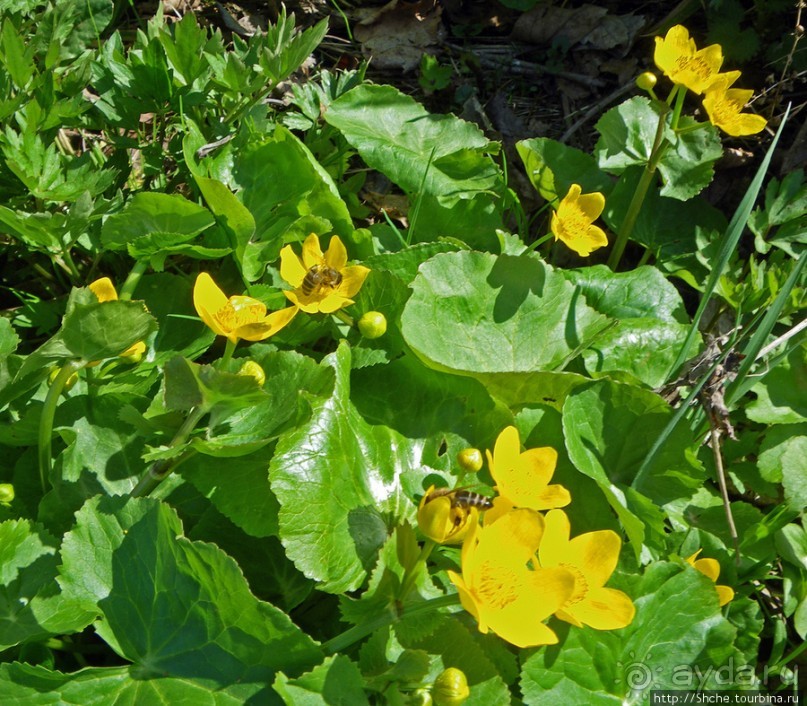 Калуш на пасху и после...