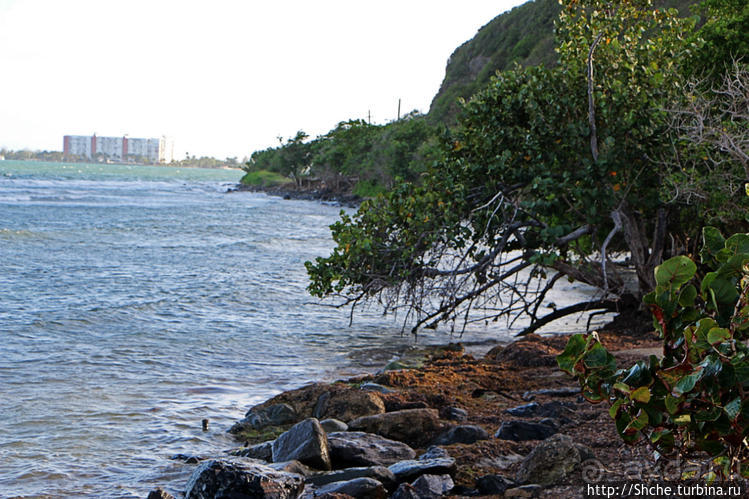 Залив Las Croabas — небольшой кусочек Фахардо