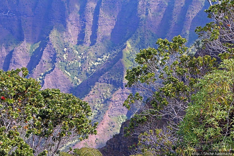 Kalalau lookout — конец автогеографии острова Кауаи