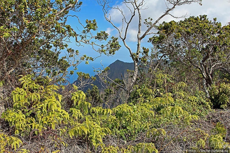 Kalalau lookout — конец автогеографии острова Кауаи