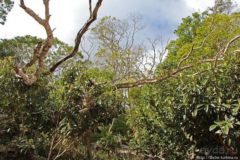 Kalalau lookout — конец автогеографии острова Кауаи