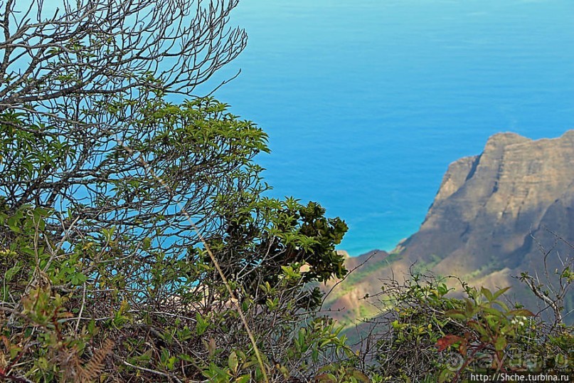 Kalalau lookout — конец автогеографии острова Кауаи