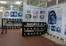 Лучшие друзья девушек, это ... жемчуга