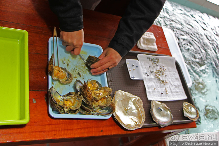 Лучшие друзья девушек, это ... жемчуга