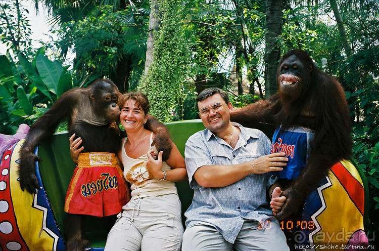 Архив. Посещение Бангкока в октябре 2003 года, сафари-парк