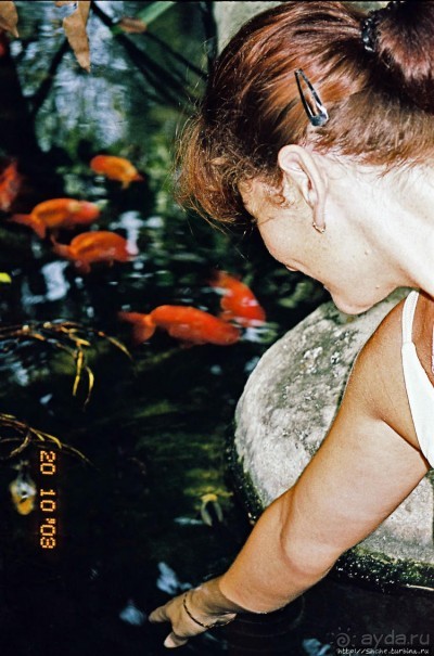 Архив. Посещение Бангкока в октябре 2003 года, сафари-парк