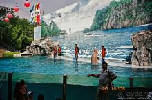 Архив. Посещение Бангкока в октябре 2003 года, сафари-парк