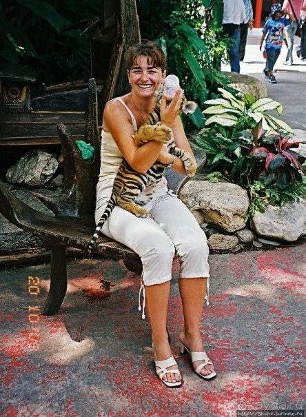 Архив. Посещение Бангкока в октябре 2003 года, сафари-парк