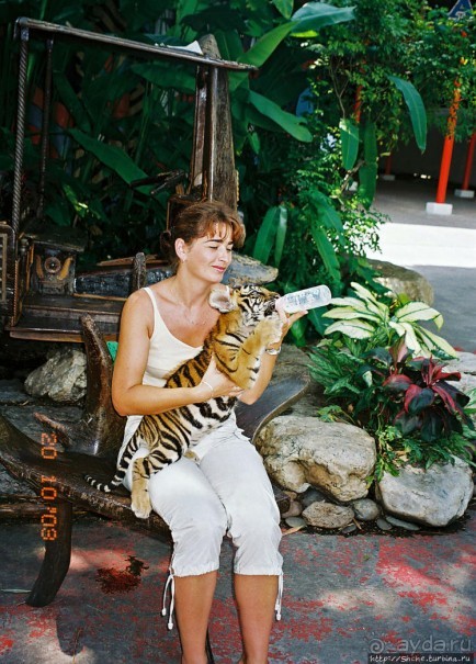 Архив. Посещение Бангкока в октябре 2003 года, сафари-парк