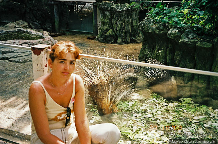 Архив. Посещение Бангкока в октябре 2003 года, сафари-парк