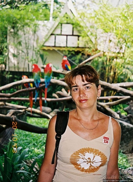 Архив. Посещение Бангкока в октябре 2003 года, сафари-парк