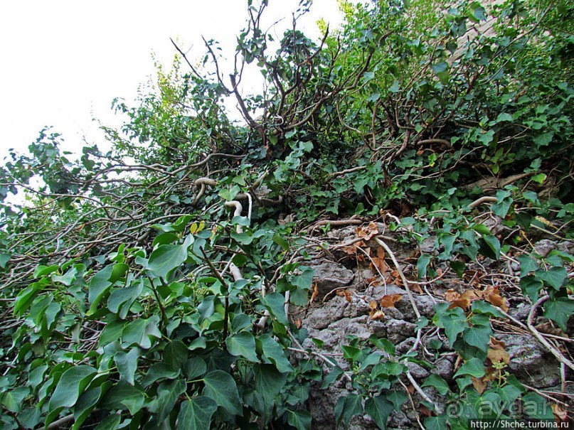 Ловечская средневековая крепость на холме Хисаря