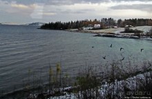 Альбом отзыва "Хорошо, что есть на свете это счастье — путь домой"