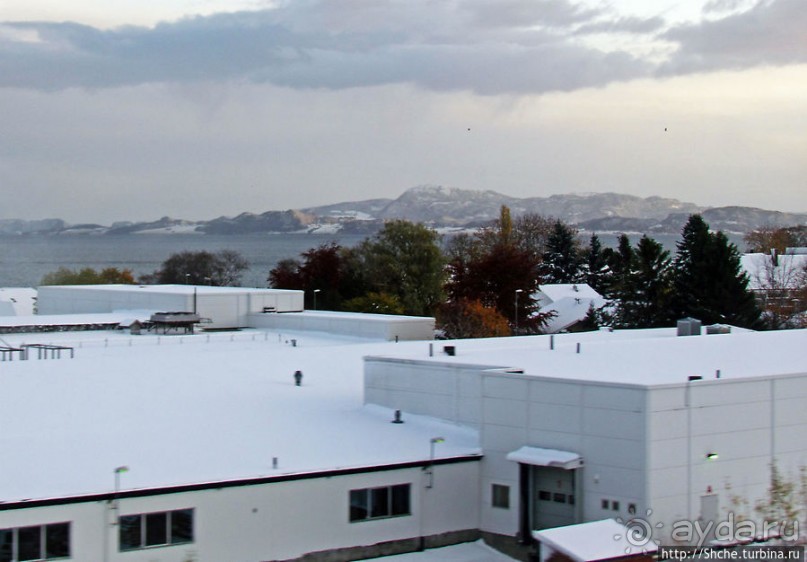 Хорошо, что есть на свете это счастье — путь домой