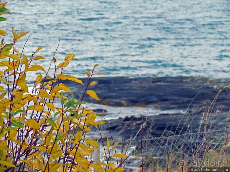 Хорошо, что есть на свете это счастье — путь домой