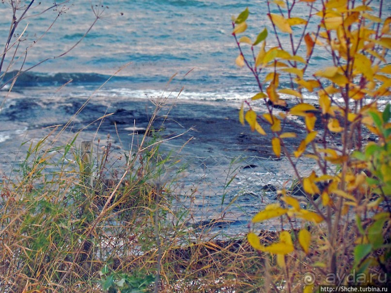 Хорошо, что есть на свете это счастье — путь домой