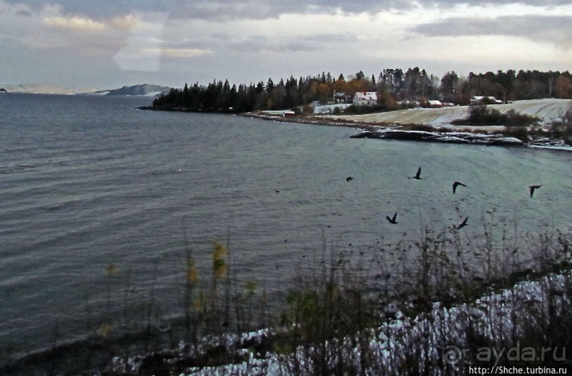 Хорошо, что есть на свете это счастье — путь домой