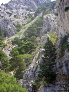 Омиш — приятный городок в устье реки Цетина