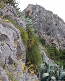 Омиш — приятный городок в устье реки Цетина