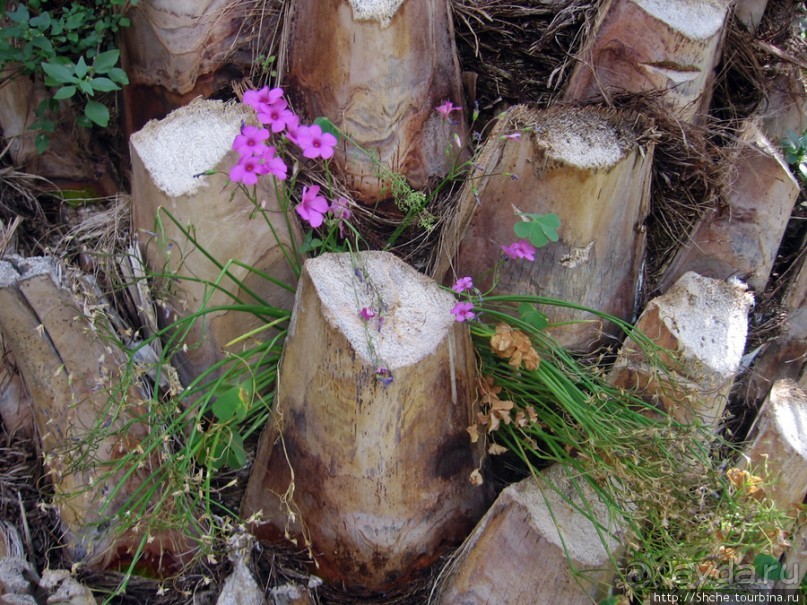 Омиш — приятный городок в устье реки Цетина