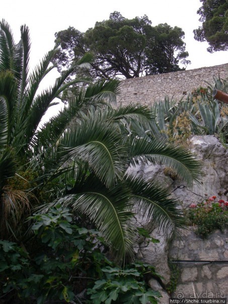 Омиш — приятный городок в устье реки Цетина