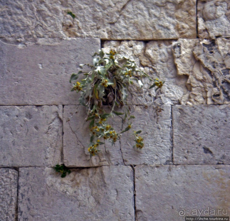 Омиш — приятный городок в устье реки Цетина