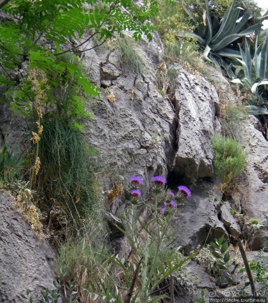 Омиш — приятный городок в устье реки Цетина