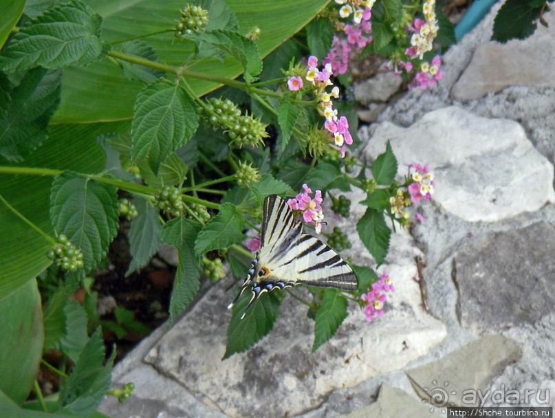 Омиш — приятный городок в устье реки Цетина
