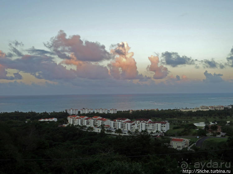 Кафе не для бедных с шикарной панорамой