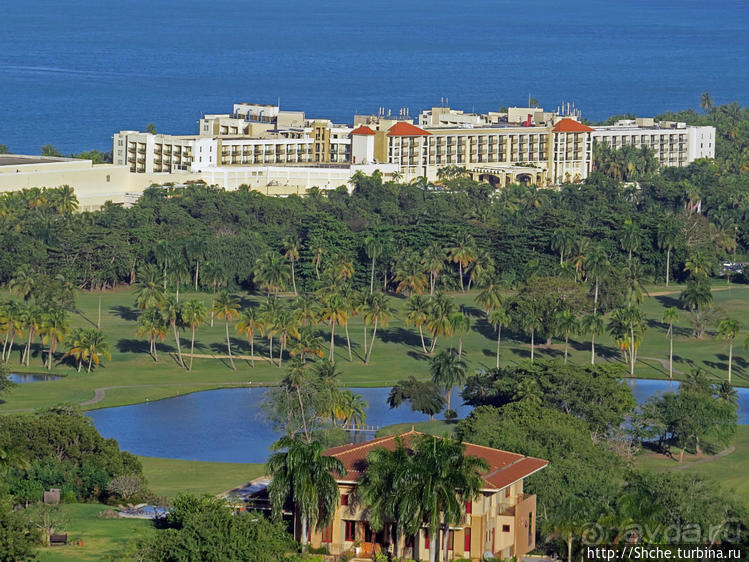 Кафе не для бедных с шикарной панорамой